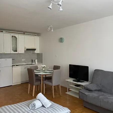 아파트 - Grey 류블랴나